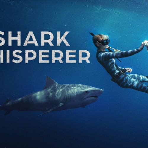 Shark Whisperer